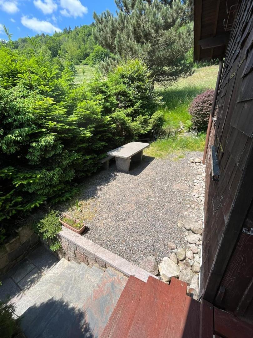 Chalet Bois Vue Panoramique : 2 Logements Et Sauna بوسانغ المظهر الخارجي الصورة