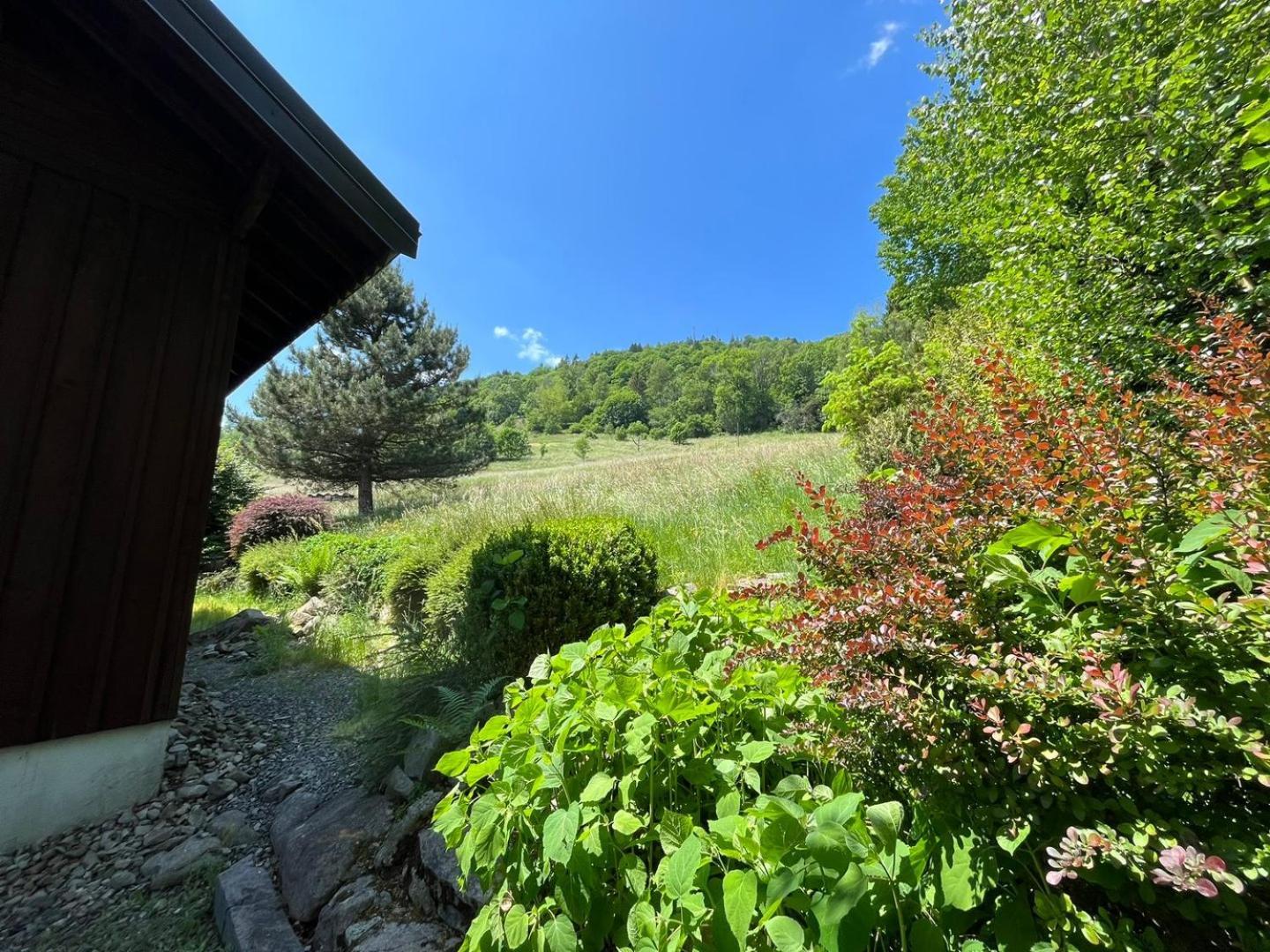 Chalet Bois Vue Panoramique : 2 Logements Et Sauna بوسانغ المظهر الخارجي الصورة